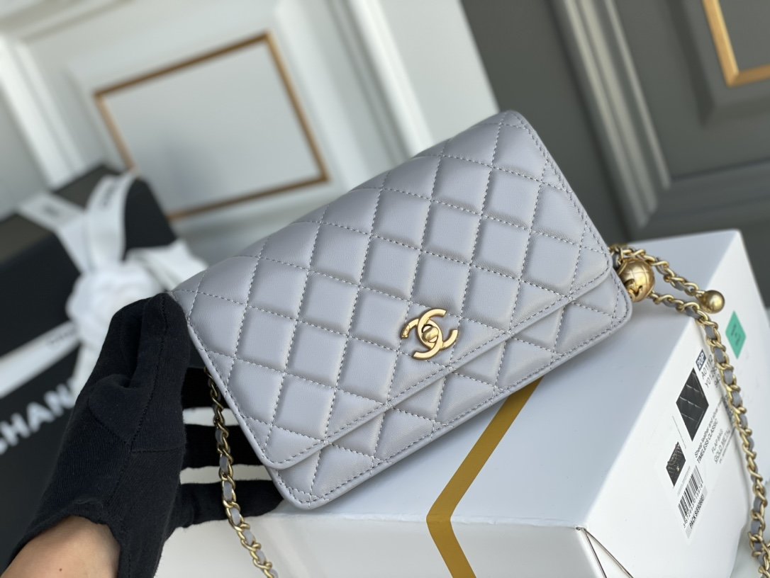 Chanel WOC Bags